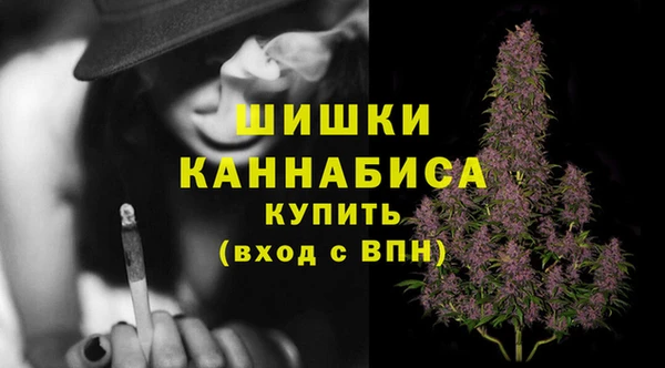 меф Дмитриев