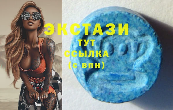 тгк Абаза